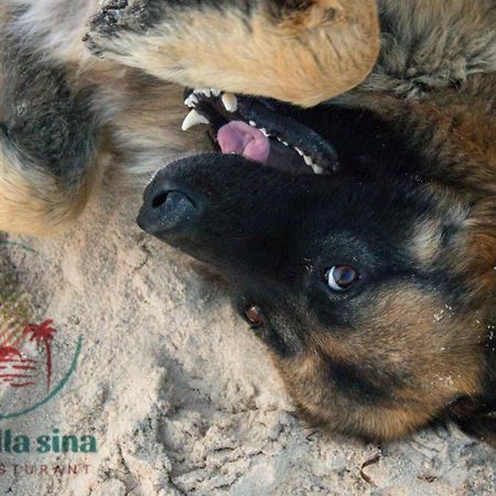 Отель New Bella Sina Camp Нувейба Экстерьер фото